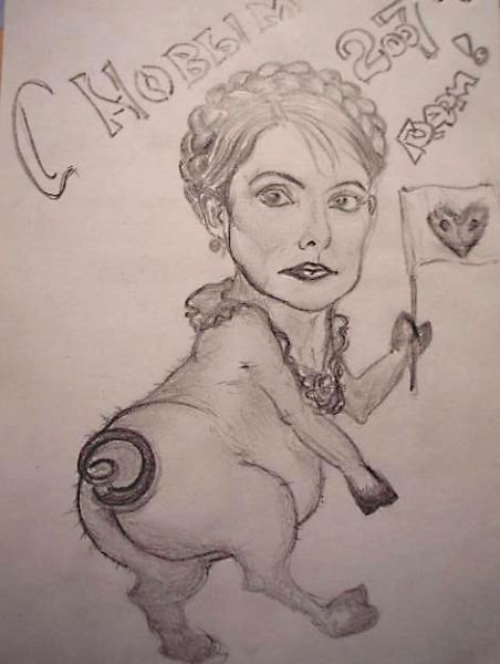 Латынина метеорит