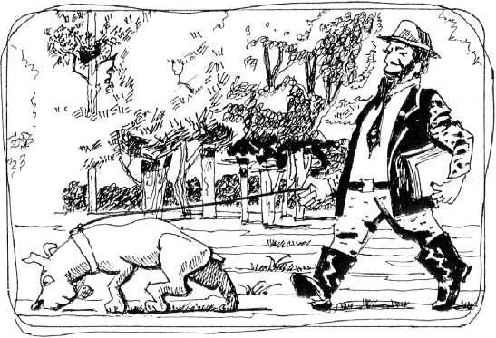 Беспаспортный Бродяга карикатура