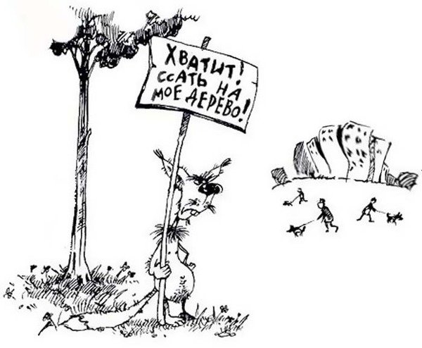 Карикатуры на Майдан