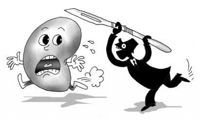 Веселая почка