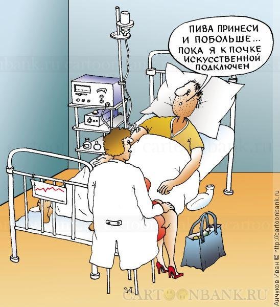 Приколы про почки