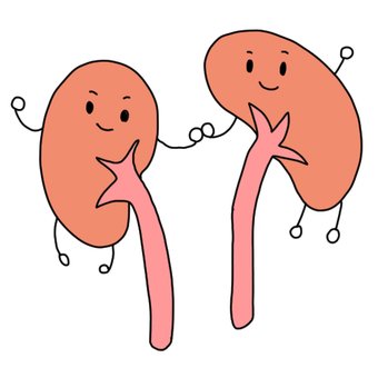 Почки мультяшные