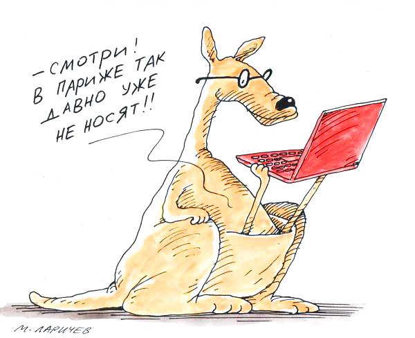 Карикатура животные юмор