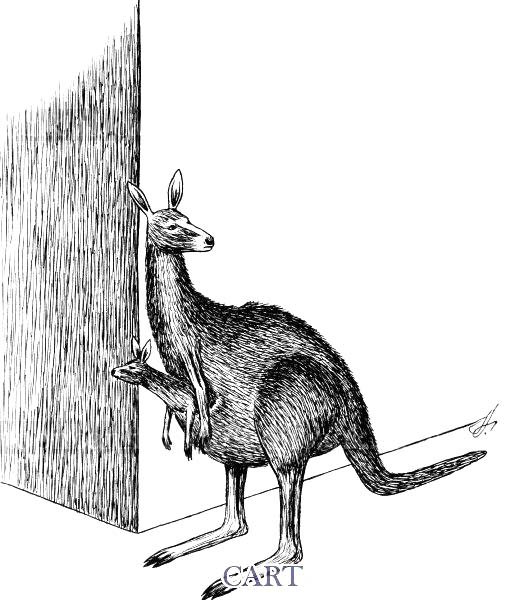 Драка кенгуру карикатура