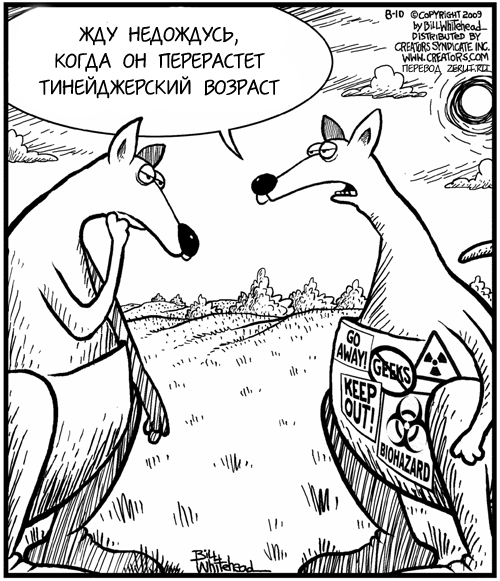 Джокович против кенгуру карикатуры