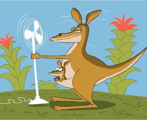 Австралийский кенгуру карикатура