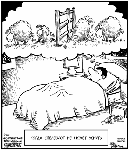 Считать овец карикатура