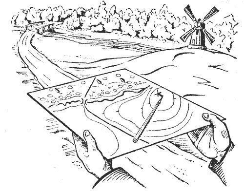 Компас карикатура (43 фото)