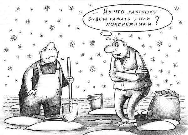 Прогноз карикатура
