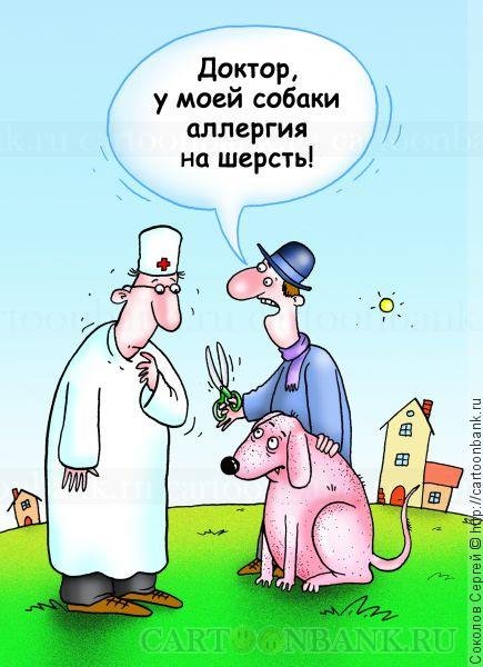Аллергик карикатура