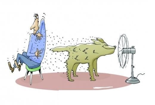 Вентилятор юмор