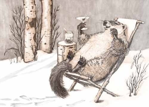 Открыточка сурок