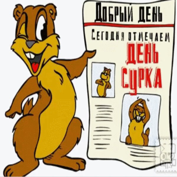Второе февраля день сурка