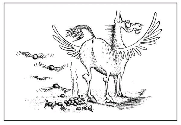 Пегас приколы карикатуры