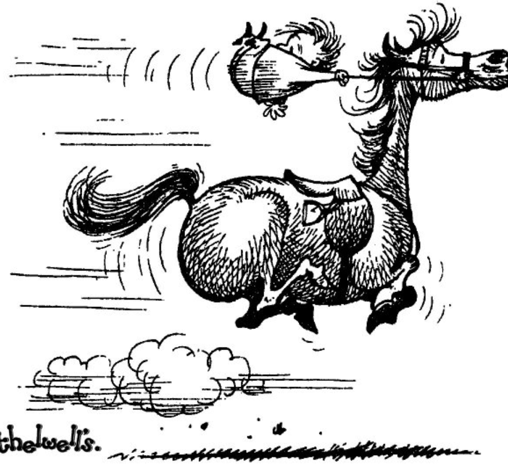 Конь вырвется догонишь а сказанного. Смешная лошадь. Конь карикатура. Лошадь карикатура смешные. Лошадиные карикатуры.