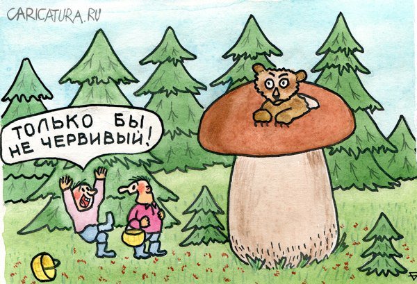 Карикатура сбор грибов