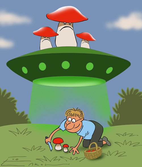 Прикольные грибочки
