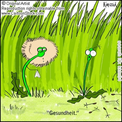 Злой одуванчик карикатуры