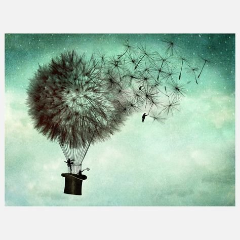 Ветер прикол