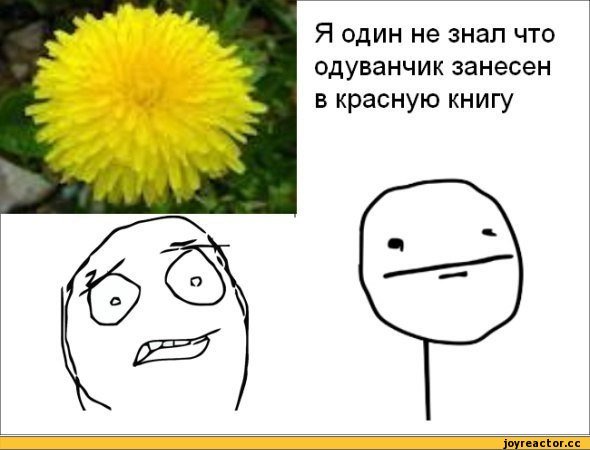 Одуванчик с щеками мультик