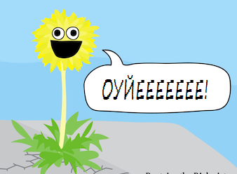 Одуванчик асфальт треснул