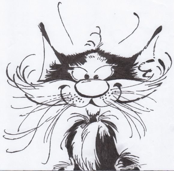 Шарж с котом