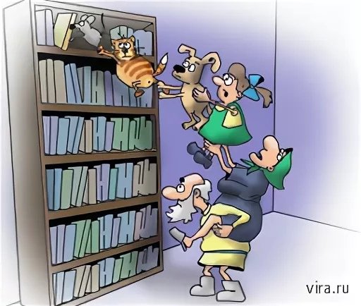 Библиотекарь стереотип