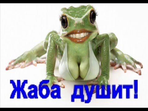 Жаба душит прикол