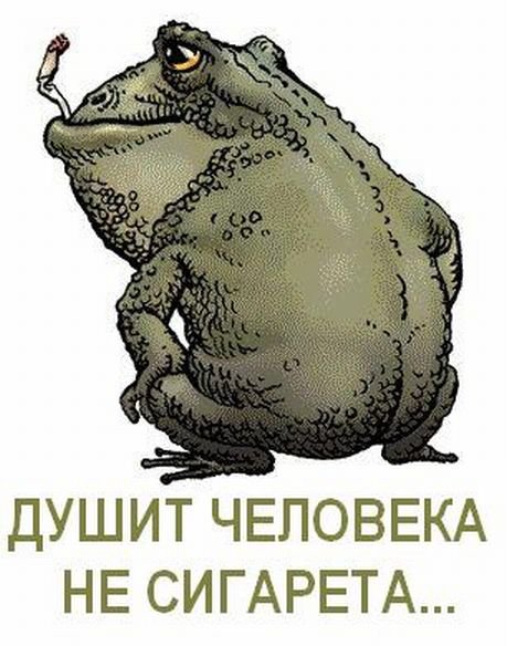 Жаба зависти