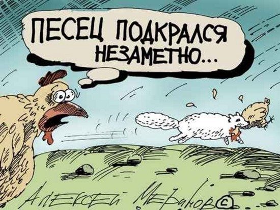 Писец подкрался