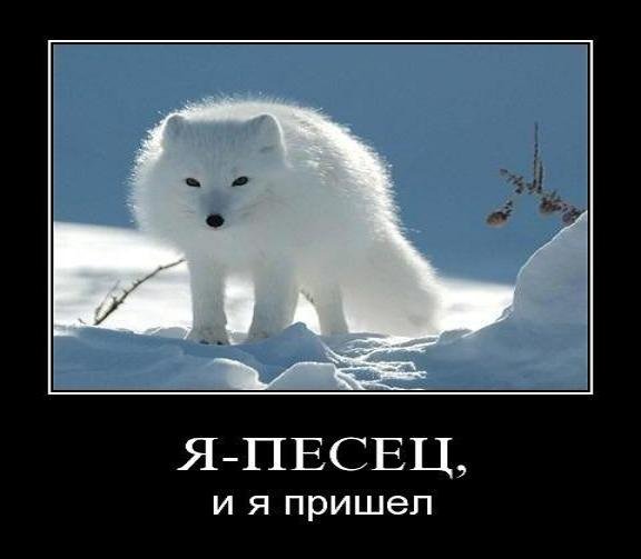 Писец пришел