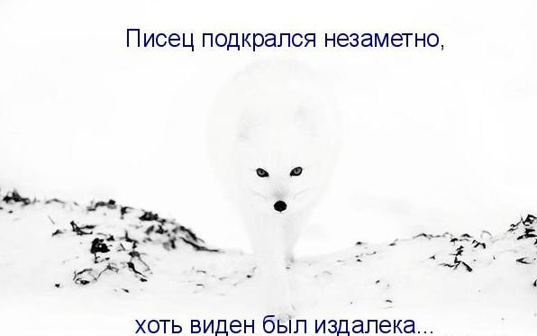Писец подкрался незаметно