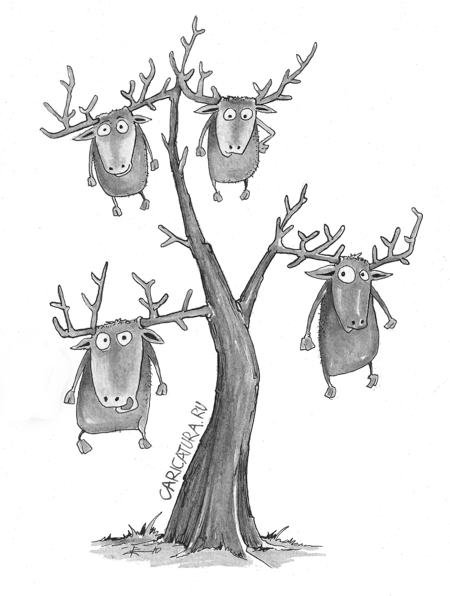 Смешной Лось