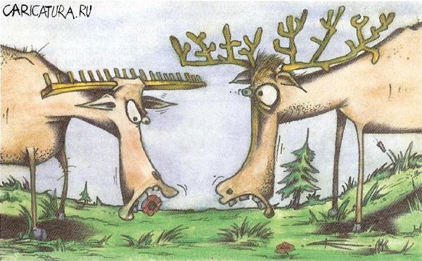 Олень карикатура