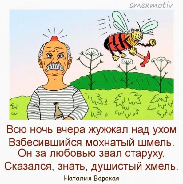 Мохнатый Шмель юмор