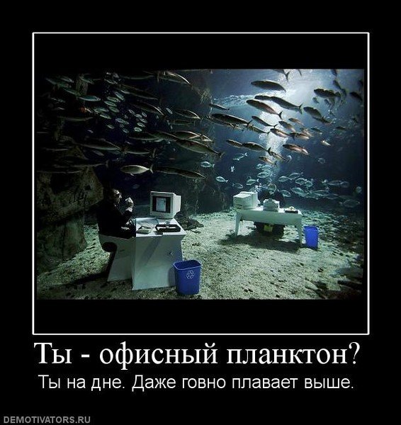 Офисный планктон