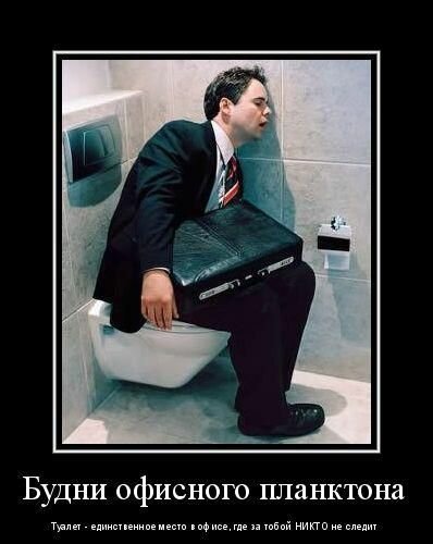 Планктон в офисе