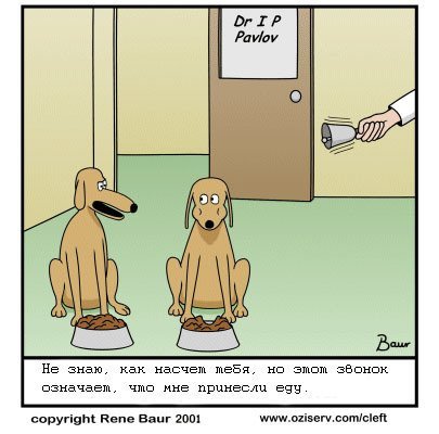 Собака Павлова шутка