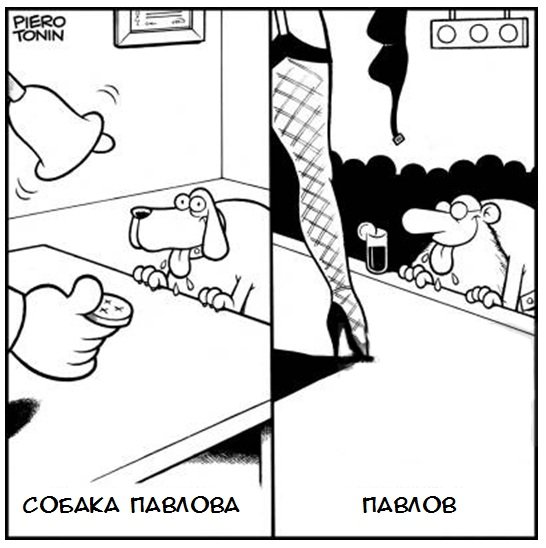 Собака Павлова прикол