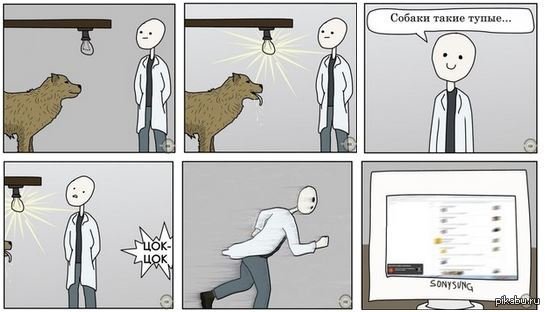 Собака Павлова прикол