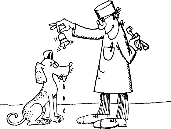 Собака Павлова прикол