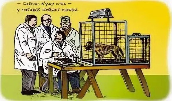 Павлов Иван Петрович собака Павлова