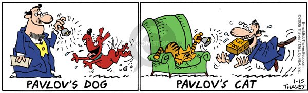 Выборы карикатура