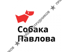 Собака павлова карикатура (46 фото)