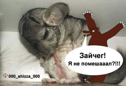 Йа Зайчег Колобок