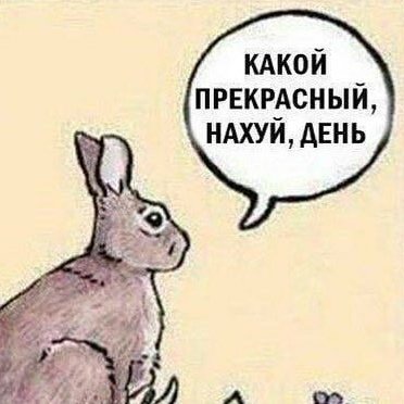 Прикольный Колобок