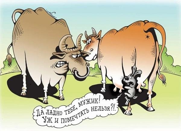 Мечтатель карикатура