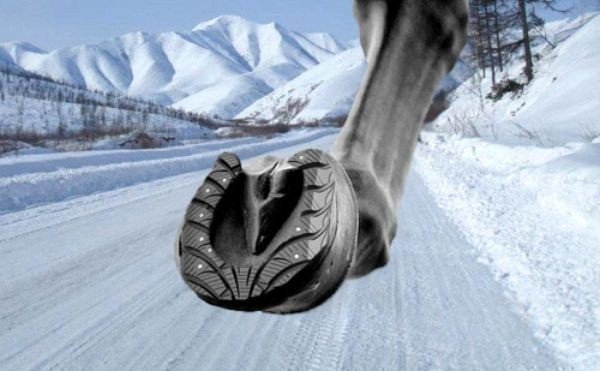 Зимняя резина юмор