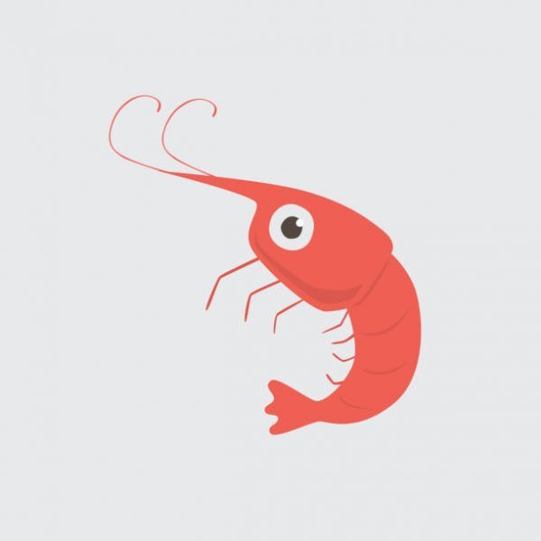 Креветка рисунок