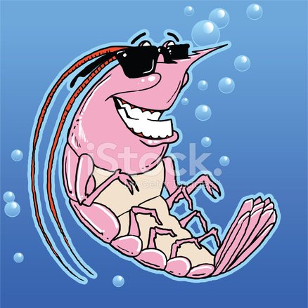 Креветка мульт